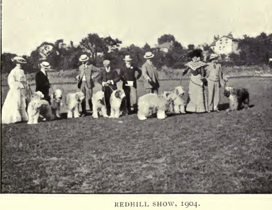 exposition Bobtail 1900