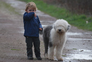 Bobtail et enfant