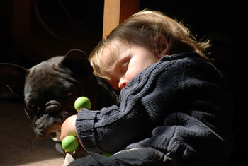 enfant et chien