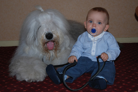 Bobtail et enfants